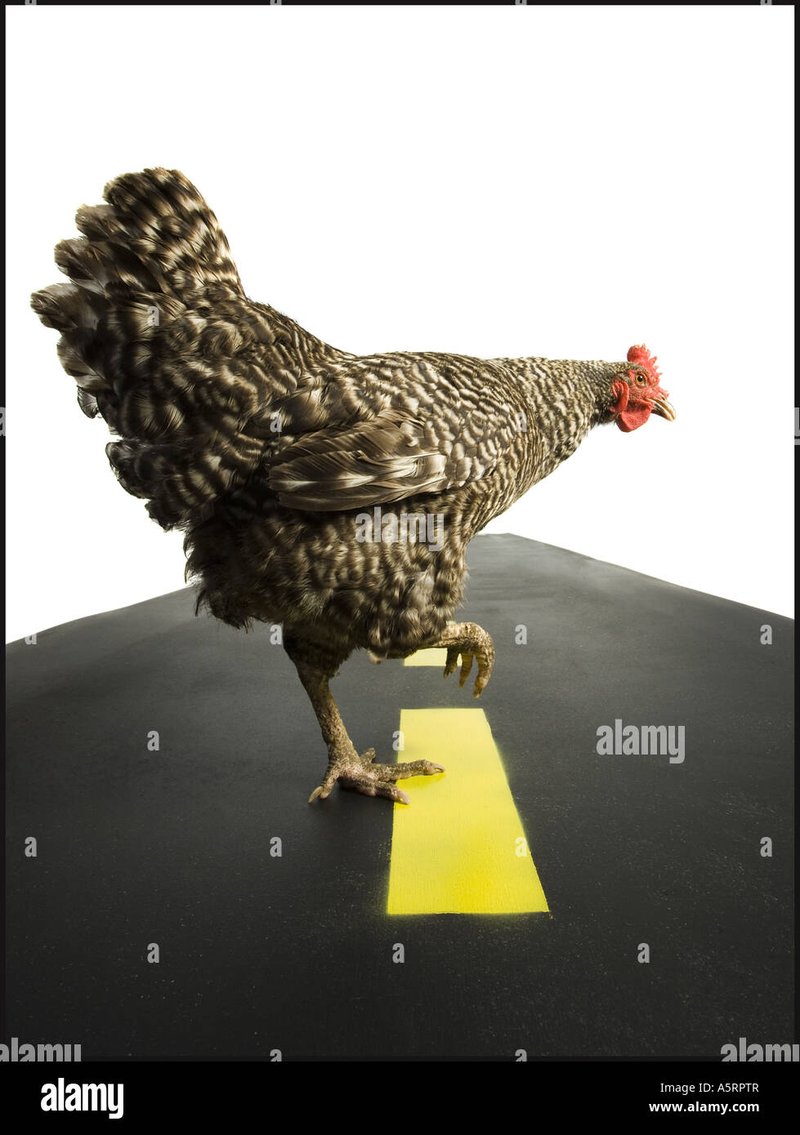 Chicken road 2 demo - Descubre el Éxito de Chicken Road 2 en Casinos de España Chicken road 2 demo - Descubre el Éxito de Chicken Road 2 en Casinos de España